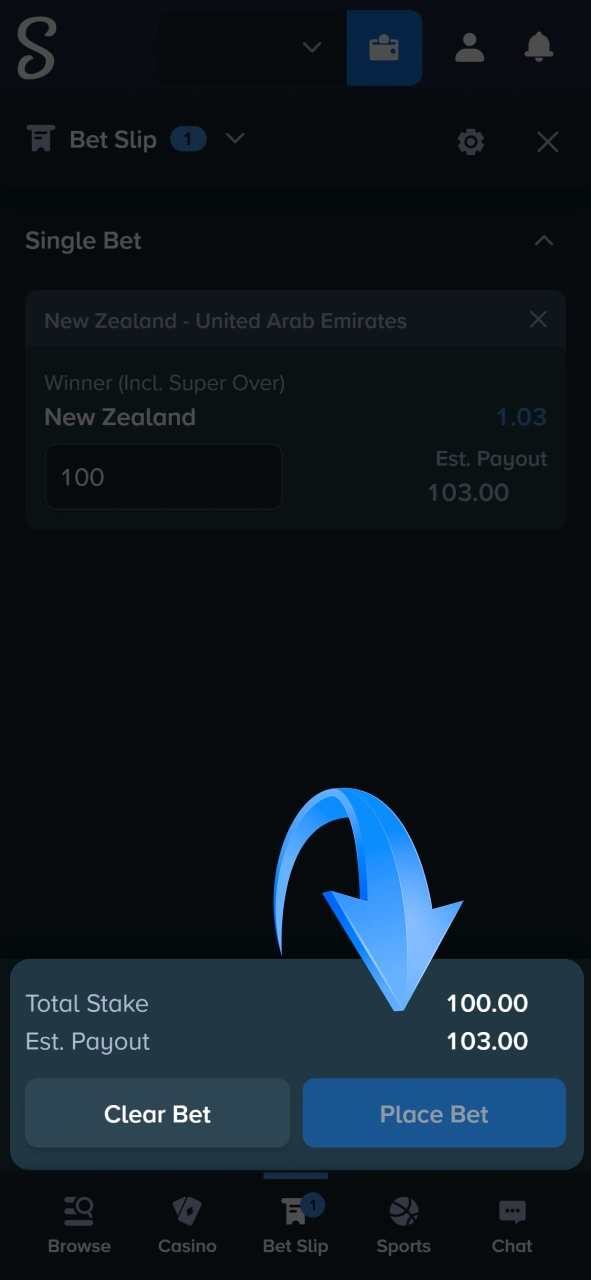 Review your total stake and estimated payout on the bet slip before clicking place bet at Stake.