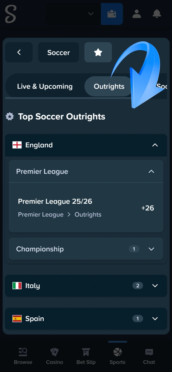 Browse through top soccer outrights and select major leagues like the Premier League to bet on at Stake.