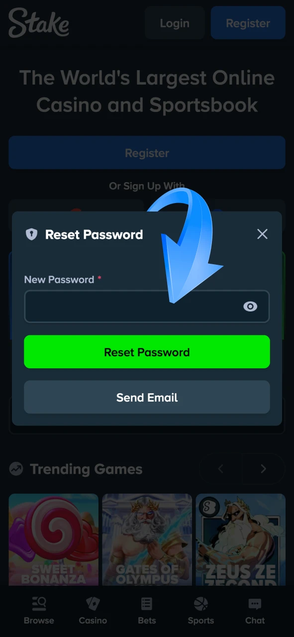Create a new password following the Stake requirements.
