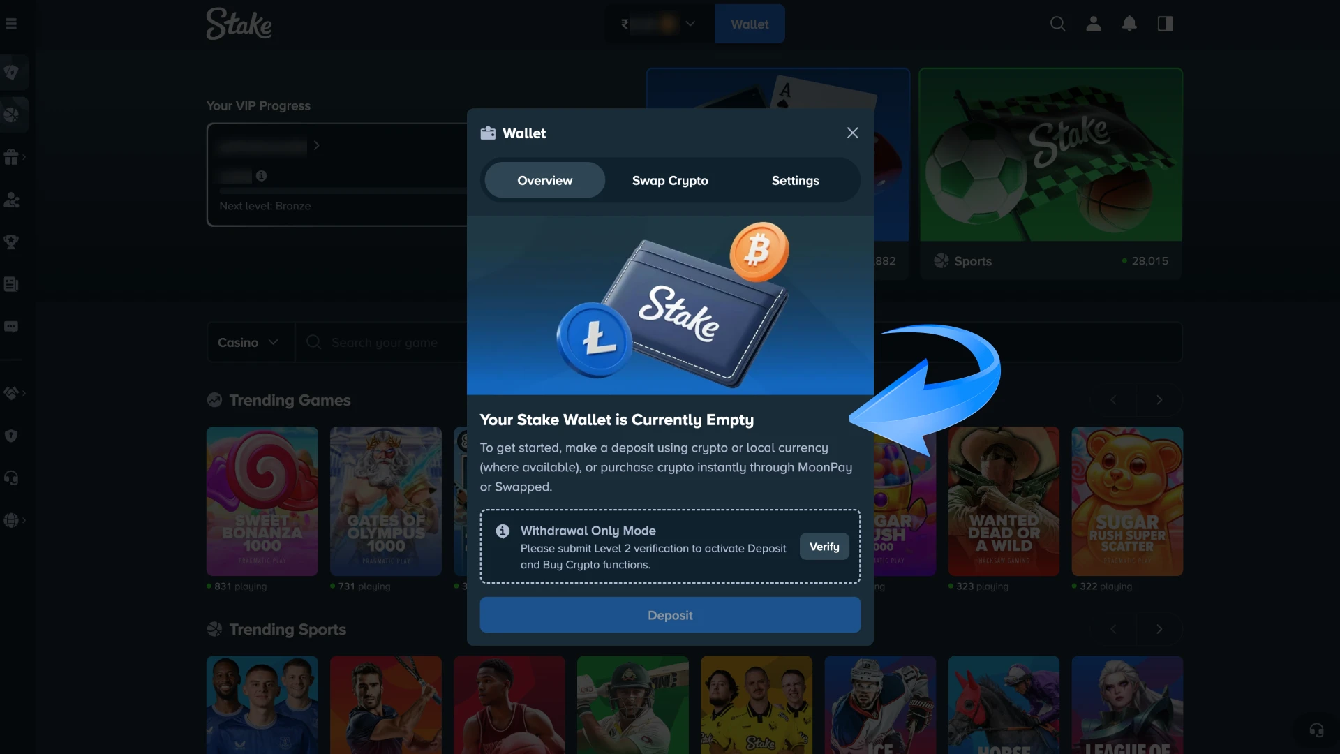 Log in to your Stake account and make a deposit.