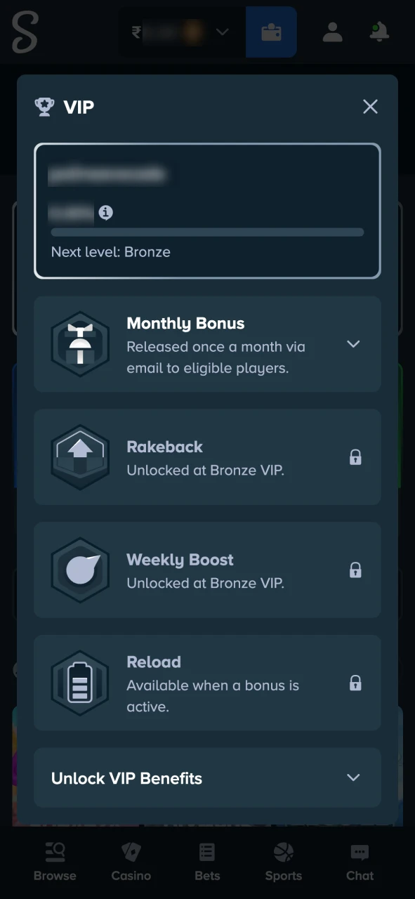 Now you can access your Stake account dashboard.