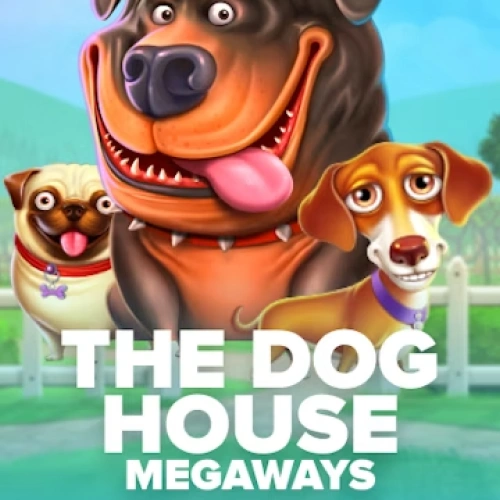 Play with the pack and enjoy thousands of ways to win in The Dog House Megaways slot at Stake.