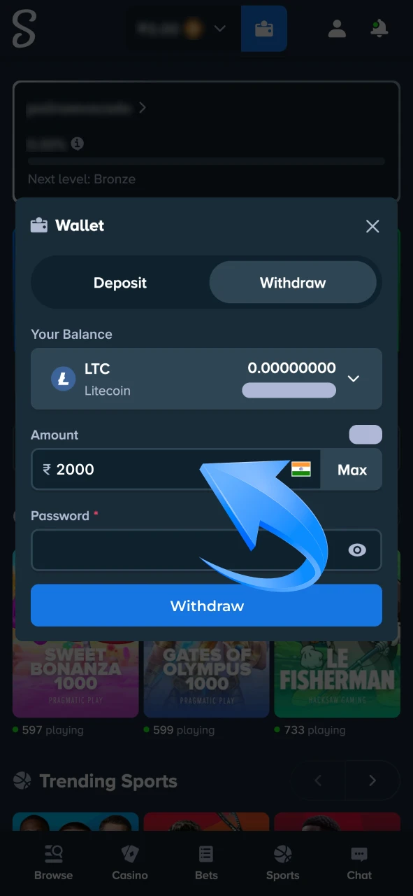 Type the amount you want to withdraw from Stake account.