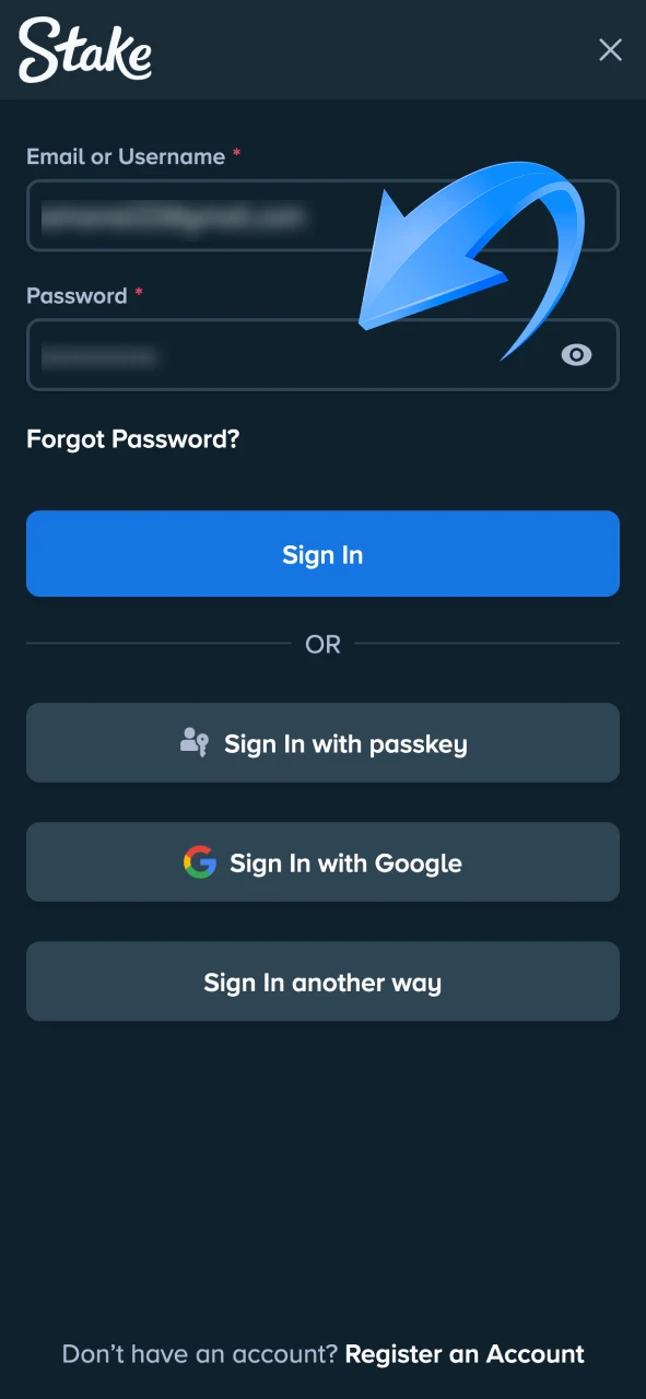 Sign in your Stake account to navigate the dashboard.