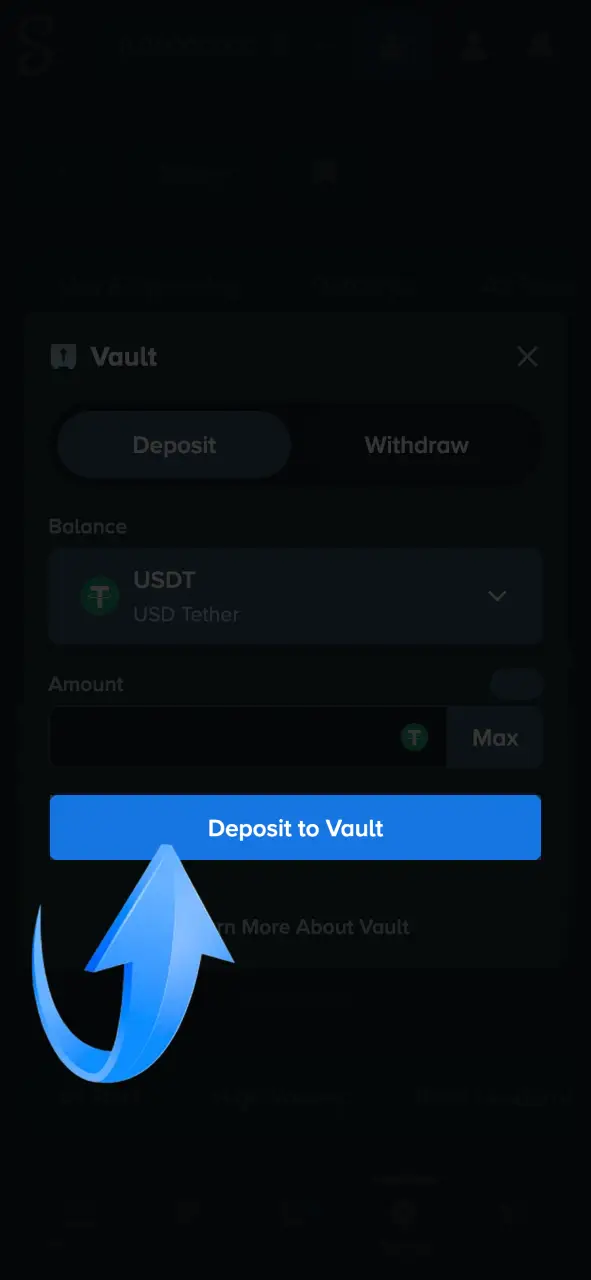 Complete the transaction to instantly update your balance on the Stake site.