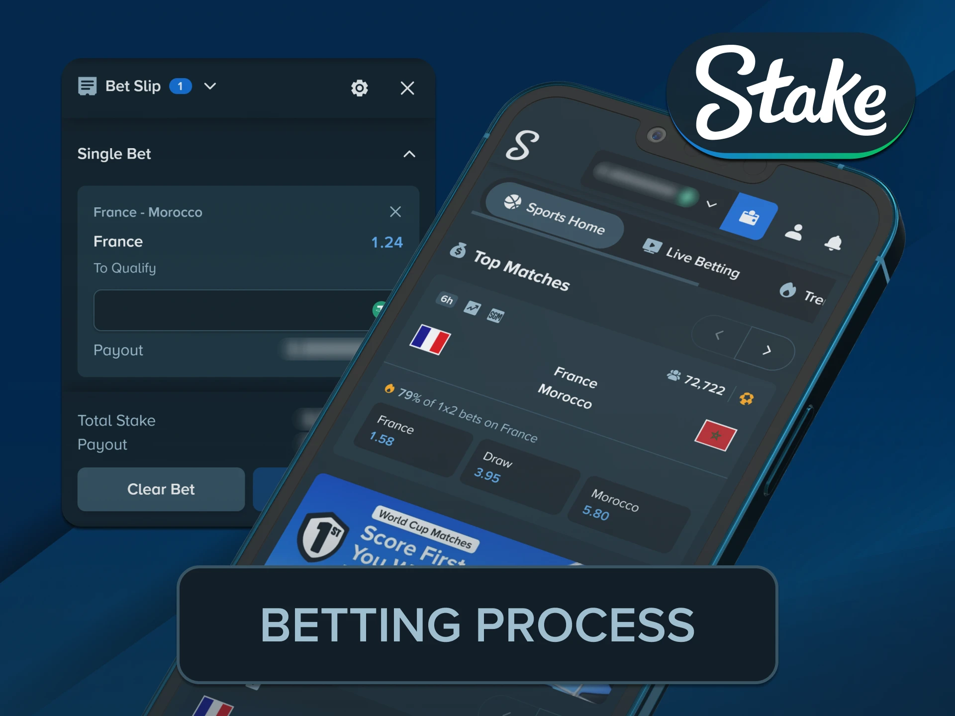 Read the essential on-screen instructions using the active Stake App sportsbook.