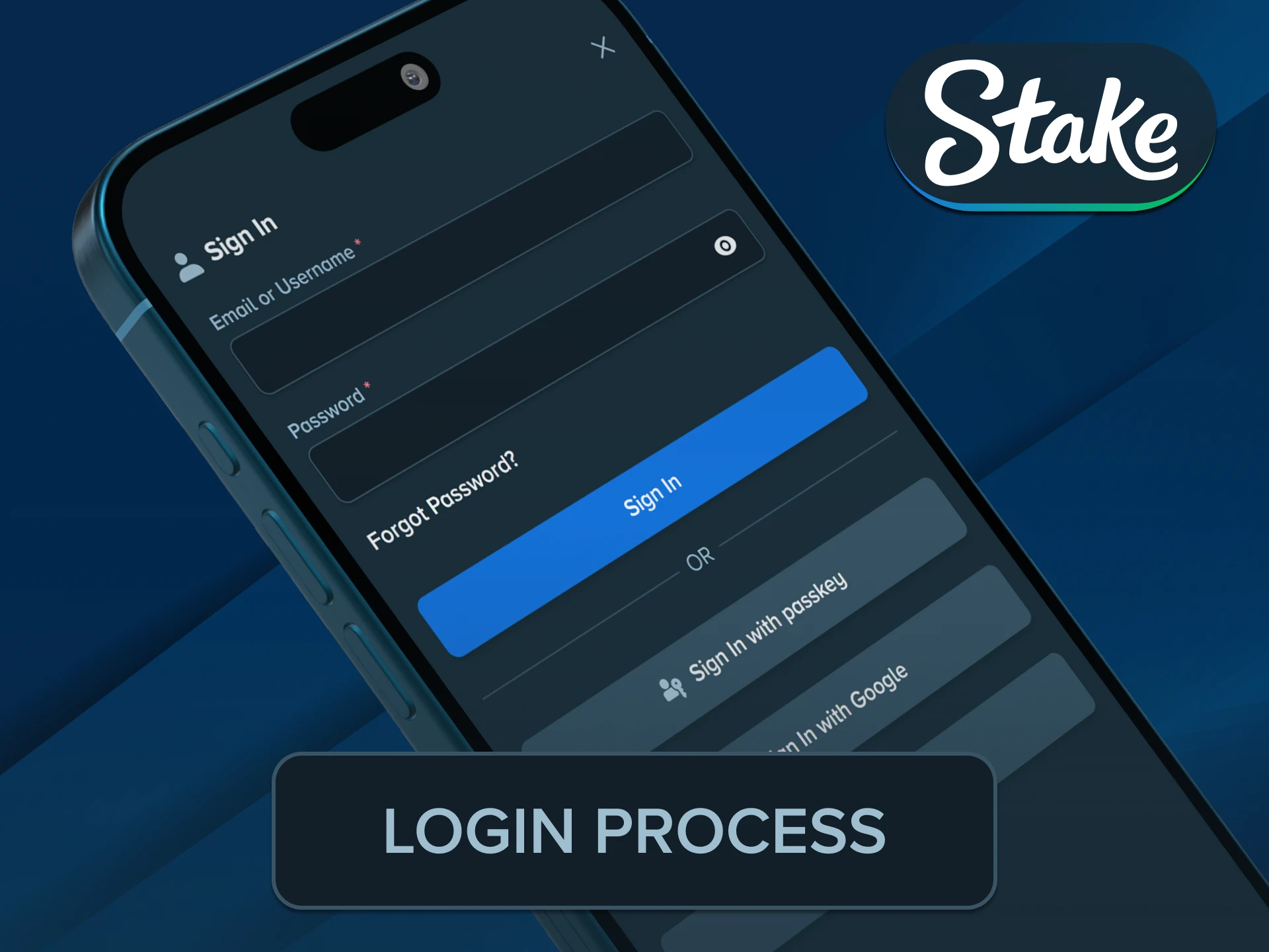 Type your private member account credentials on the official Stake App.