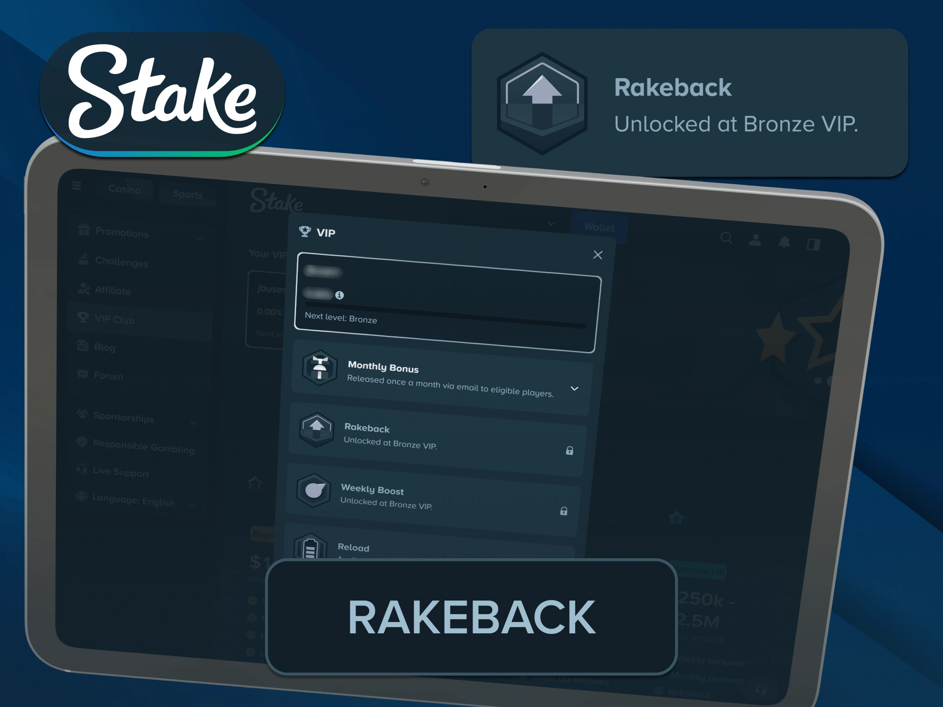 Get continuous cash rebates on your wagers within Stake Bonus options.