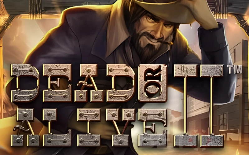 Experience extreme high variance in Dead or Alive 2 top slots.