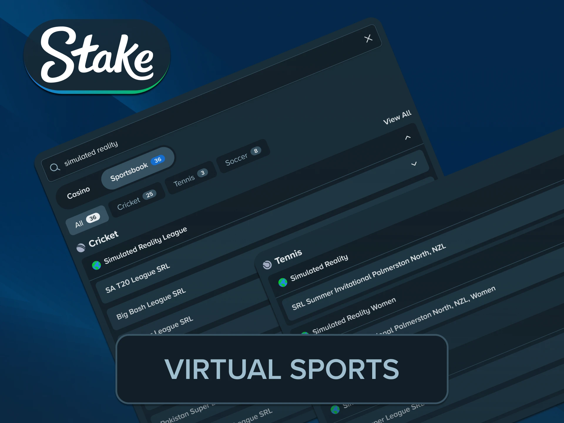 Bet on computerized simulated matches under the official Stake virtual sports.