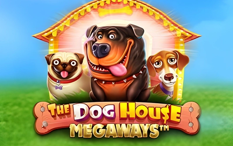 Try the dynamic grid of The Dog House Megaways top slots.